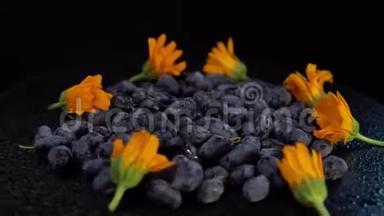 黑金银花浆果和橙花在黑色背景下旋转。